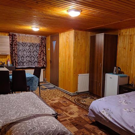 У Оксани Guest House Borcut Exterior foto
