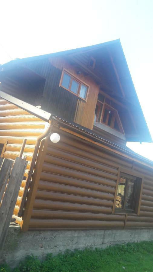 У Оксани Guest House Borcut Exterior foto