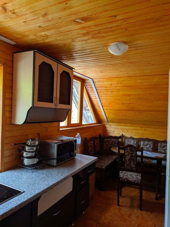 У Оксани Guest House Borcut Exterior foto