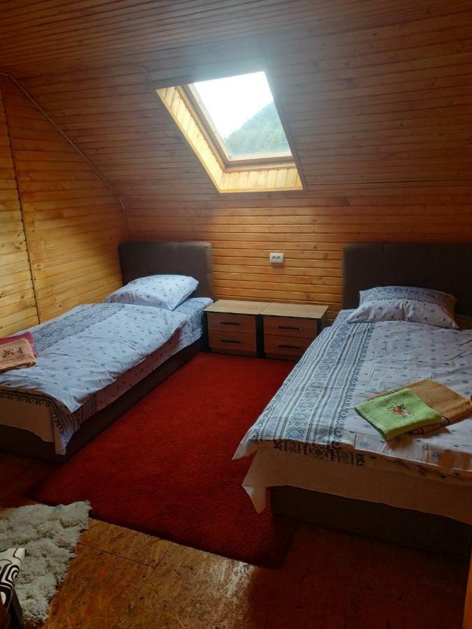 У Оксани Guest House Borcut Exterior foto